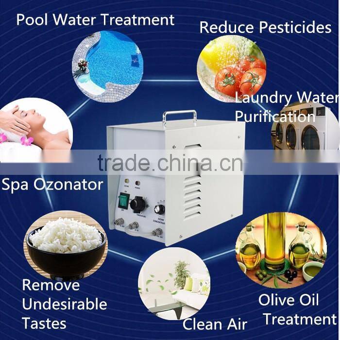 1g smart home air purifier portable car ionizer air purifier 220v air ozone generator machine