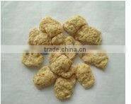 Protein Food Production Line