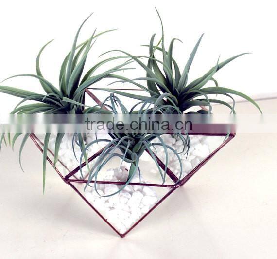 Trendy Modern Geometric Hexagon Stained Glass Terrarium