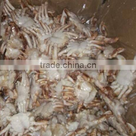 Frozen Sand Crab Whole