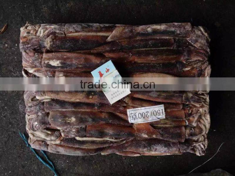 Illex Argentinus Squid Frozen Seafood