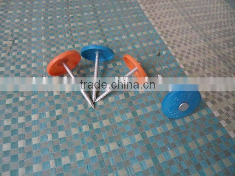 round plastic cap nail china supplier on sale