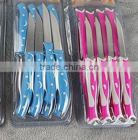51010 12PCS STAINLESS STEEL fruit Knife Set