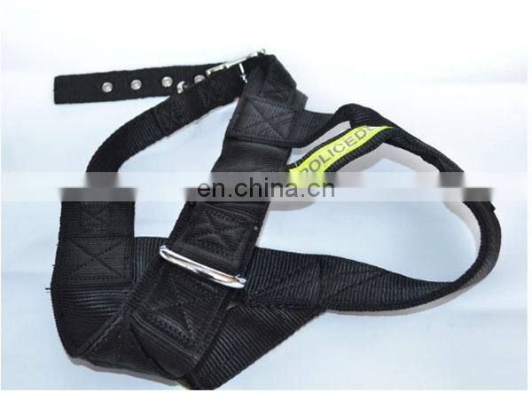 Pet head traction band pet strap band factory