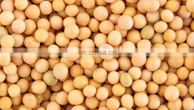 Maize grading machine / Corn cleaner / Cumin seed cleaning machine