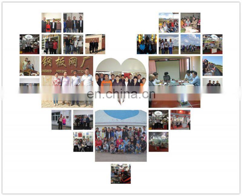 Aluminum Perforated sheet metal