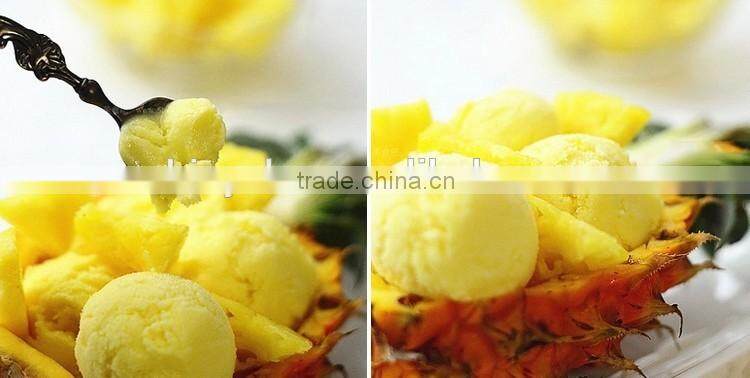 Fruit Frozen Ice Cream Sorbet Maker Healthy Frozen Dessert Maker