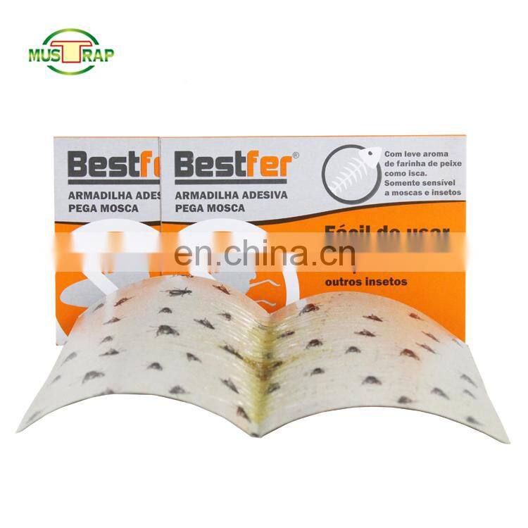 Best selling cheap price catch fruit fly glue trap sticky fly paper