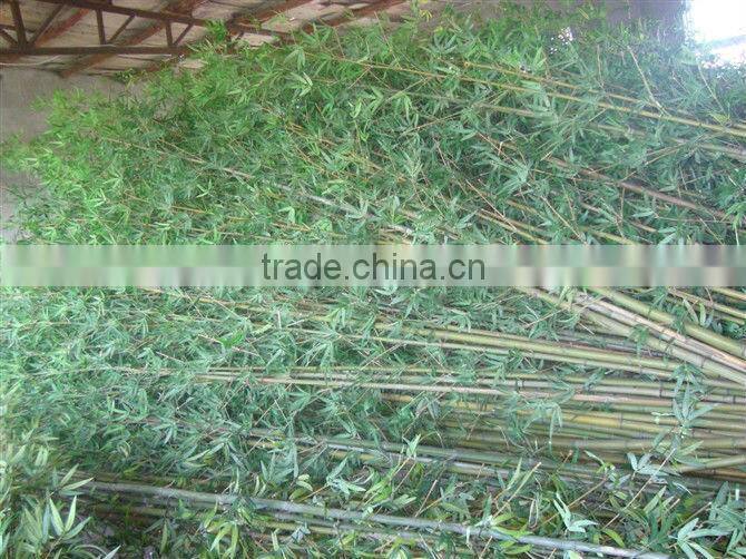 Artificial bamboo made in China