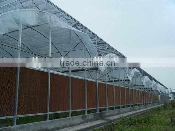 Commercial Greenhouse for Sale