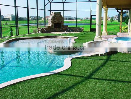 beautiful swimming pool landscaping green grass