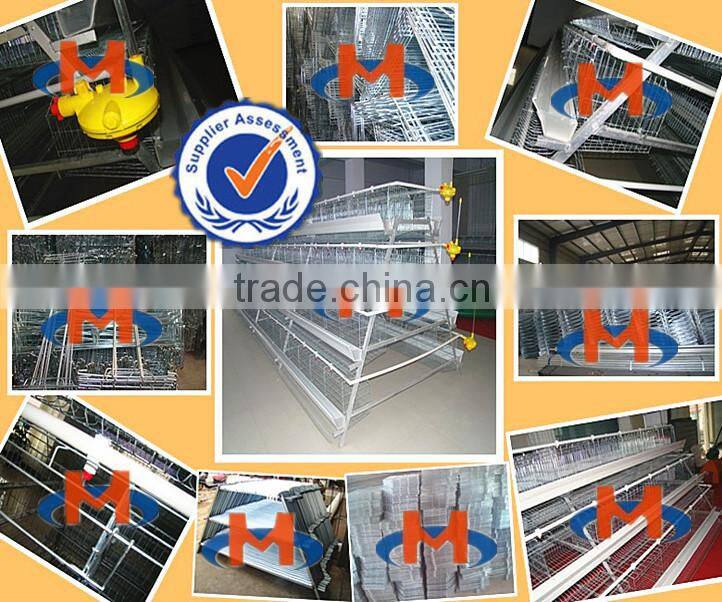 chicken farm building broiler poultry farm house design chicken breeding cage for kenya farms house