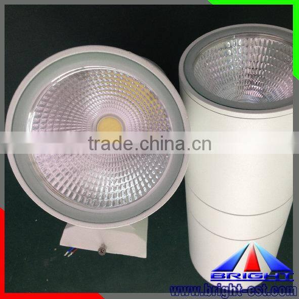 COB led wall lights,double LEDS lighting, led bracket light 10W