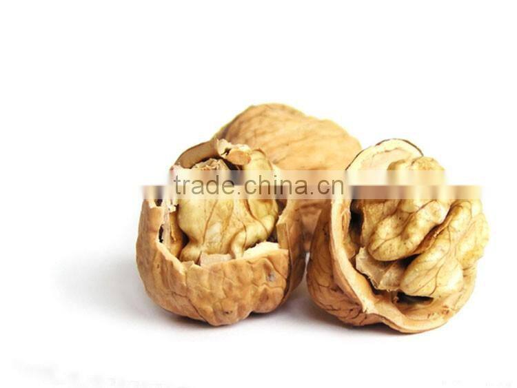 natural walnuts dried in shell for wholesale