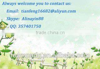 Necklace Display Stand Body Jewelry