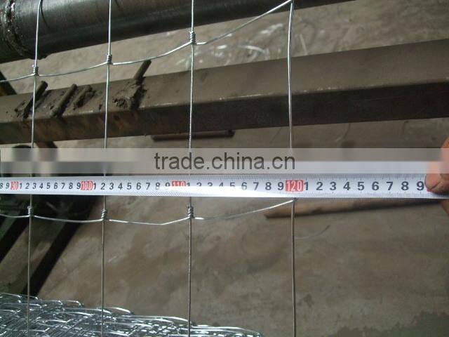 baseball sport field fence