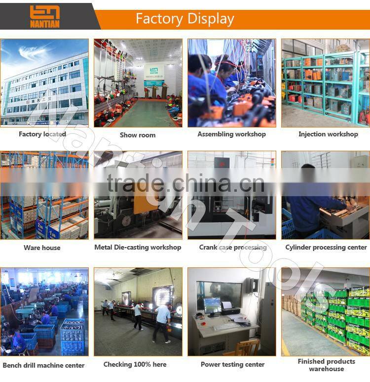 25CC Petrol Chainsaw Chain Saw 10" Inch Bar Tree Log Pruning Pruner