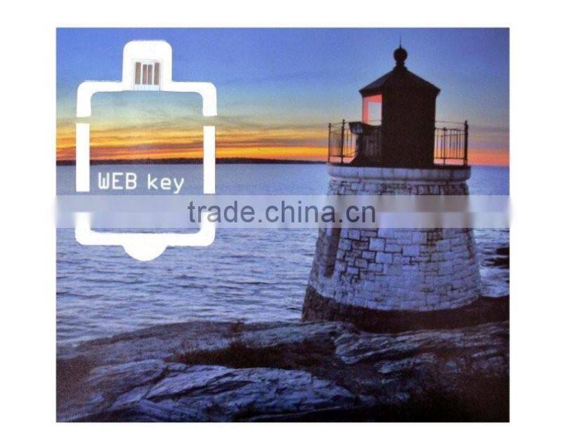 Cheapest paper card webkey usb autorun website customize image