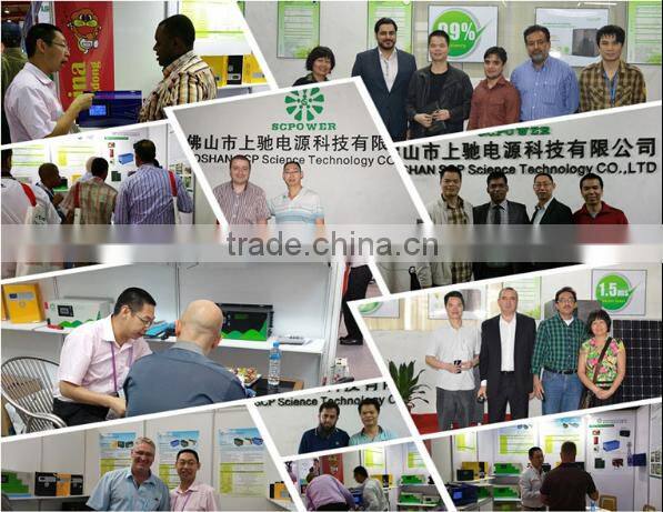 With AVR function pure sine wave low frequency power inverter