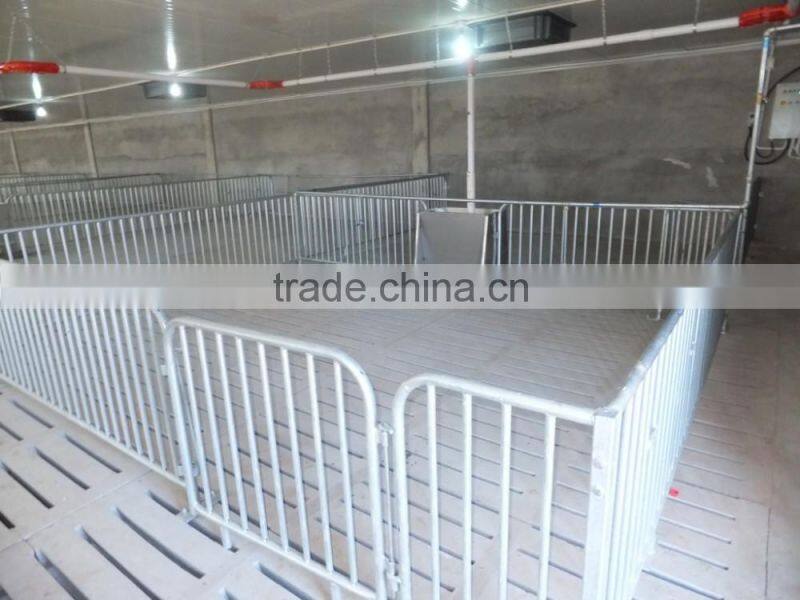 Pig stainless steel double sided, three-head feeder