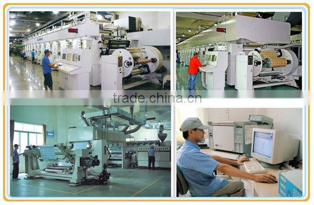 deep-processing die cut handle polybag/punch hole plastic bag