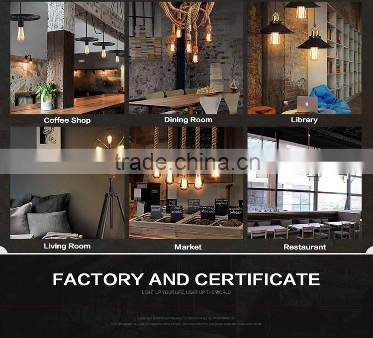 110V/220V 25W/40W/60W Edison bulb Global shape 25W/40W/65W vintage lighting Edison bulb and lamp holder