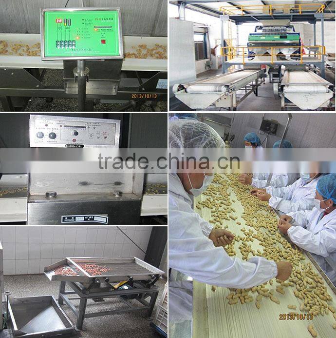 Raw Peanuts Inshell New Crop