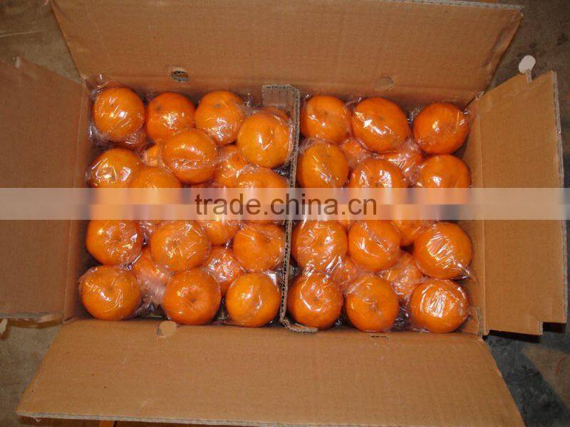 Fresh Mandarin Orange with Factory Wholesales Price