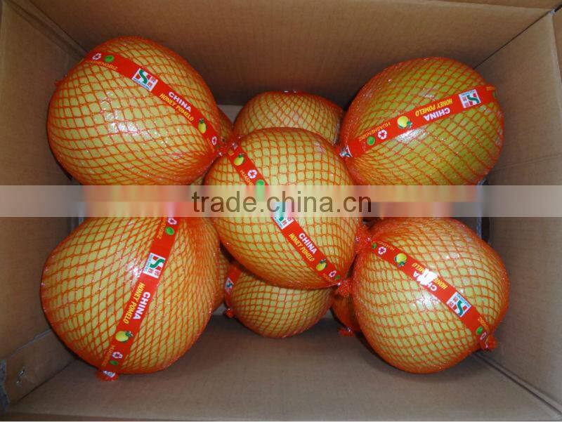 Fresh Pomelo/Chinese Pomelo Fruit/Pomelo Prices