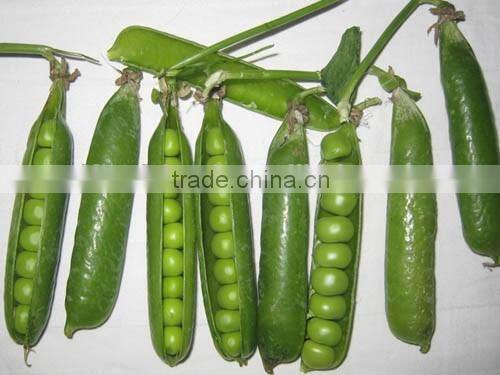 Frozen Products Peas Green One