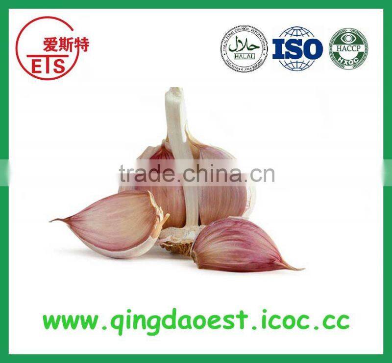 Chinese canned yellow peach on sale with high quality from Shandong Province