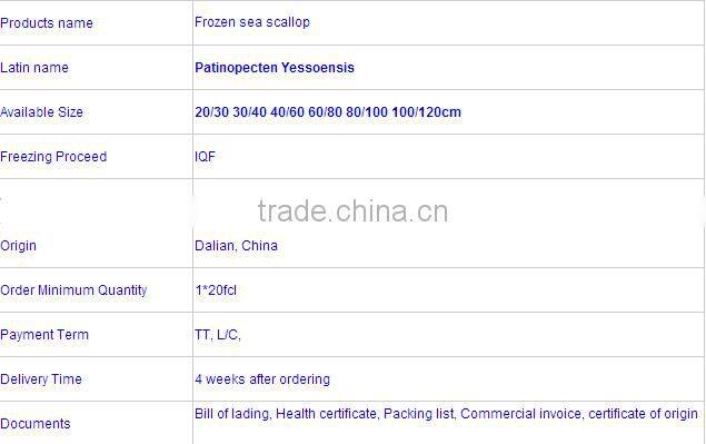Frozen Sea Scallop on hot sale