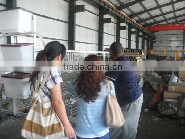 3 Tier Electro Galvanized Layer Chicken Cage Per set can Feed 120 Chickens