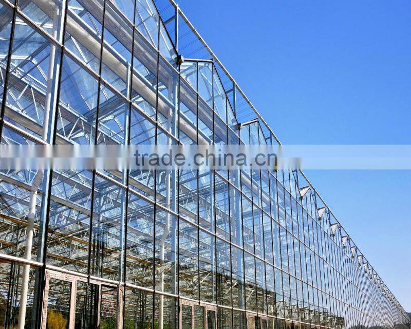 Hot galvanized steel and Easily Installed Multi span Glass Greenhouse