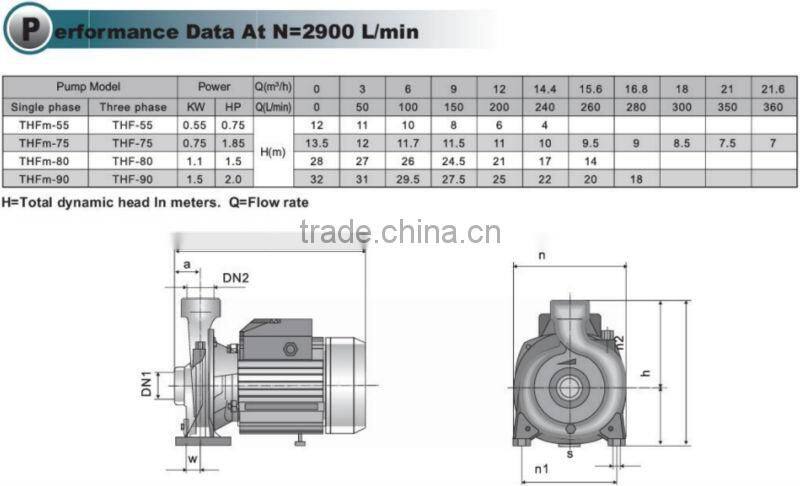 Cast iron centrifugal single phase electric water IP44 pump THFm 75
