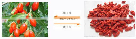 organic dehydrated food machine