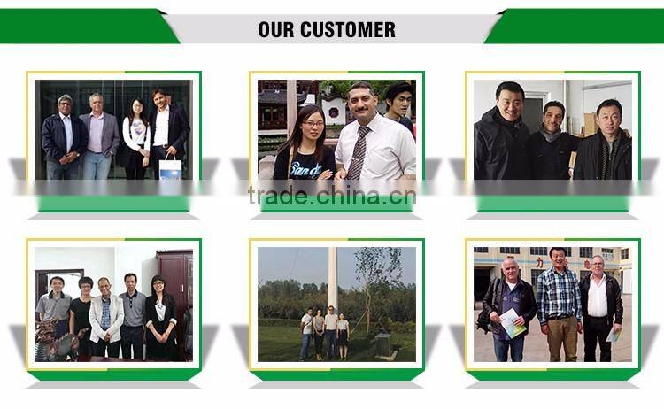 Chinese Credible Supplier 2016 New Style magnetic vertical wind turbine/12v vertical axis wind generator home