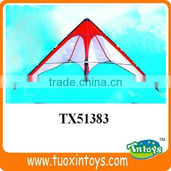 Sport China Airplane Power Kite Surf