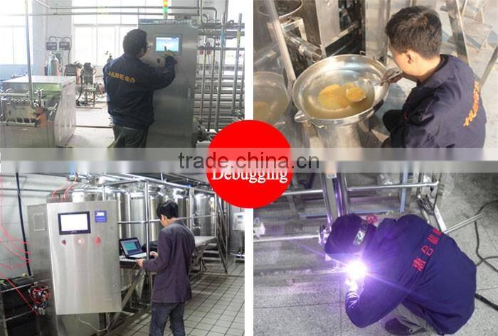 Pasteurization Milk Production Line Plant