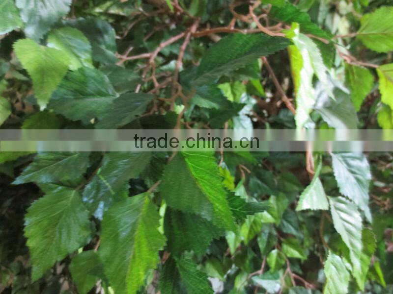 whole sale Artificial Birch Tree for decoration