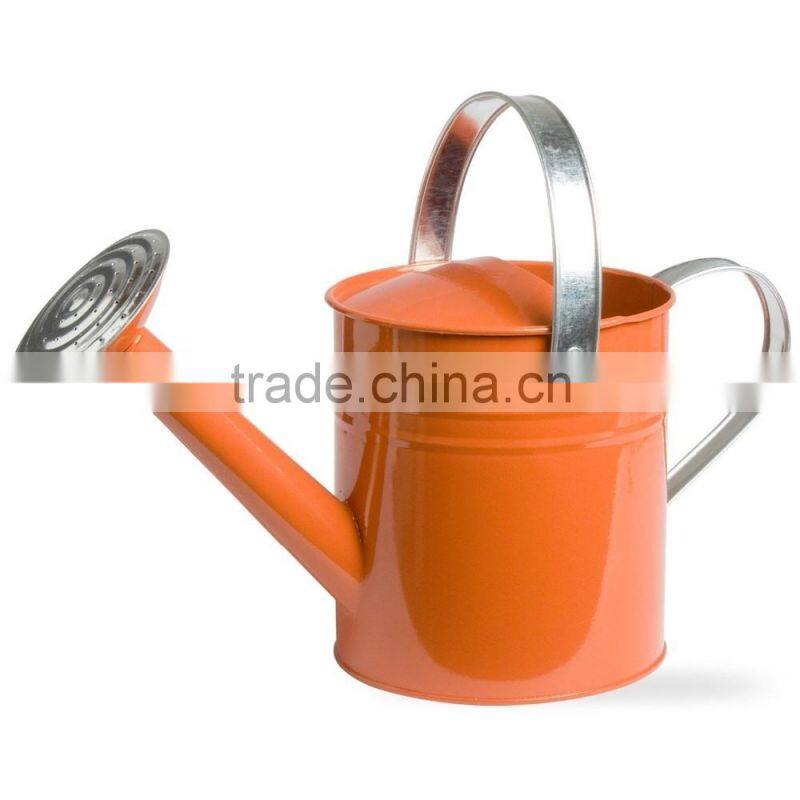 Garden Plants Flower Water 1 Gal. Metal Indoor Outdoor Basic Watering Can