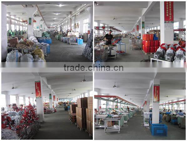 High quality mini electric hoist, CE,GS,UL,EMC, ISO9001