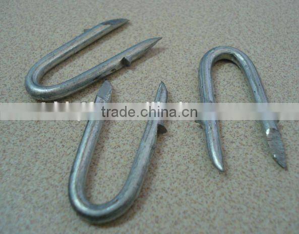 U Type Steel Nails china supplier