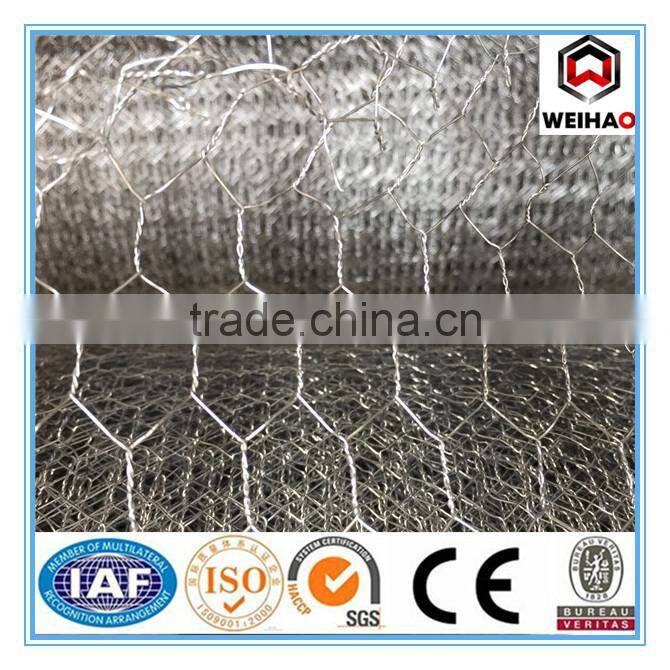 Anping Haotong PVC Coated&Galvanized Hexagonal Wire Mesh From China