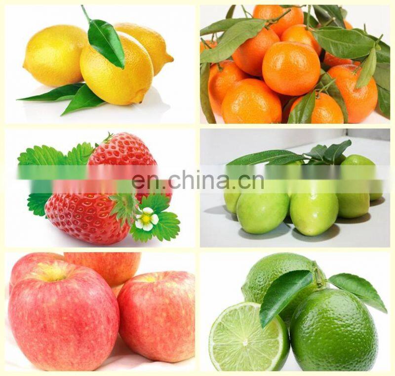 commercial potato washer machine tomato washer potato brush washer