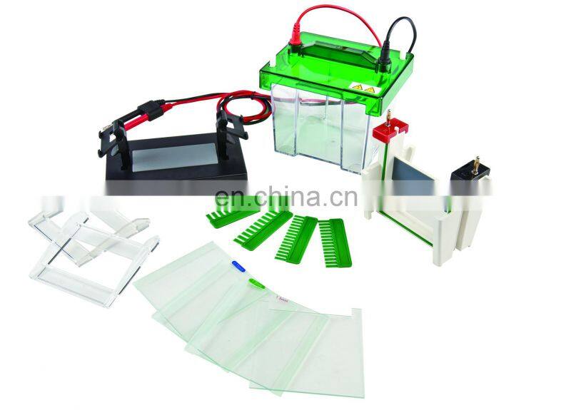 Vertical Type Gel Electrophoresis With Good Price