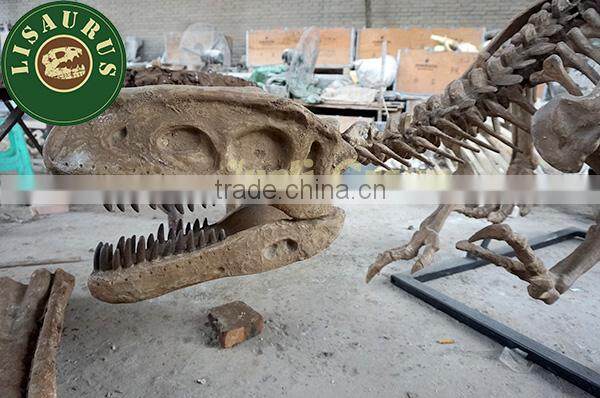 Lisaurus-J dinosaur skulls for exhibitions/amusement parks