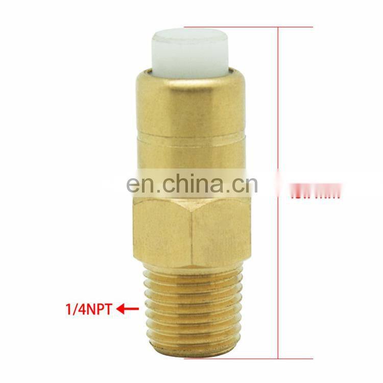 Brass Thermal Release Valve G1/4" or NPT3/8" Male Thread Pressure Washer Plunger Pump Thermal Relief Valve Thermal Protection