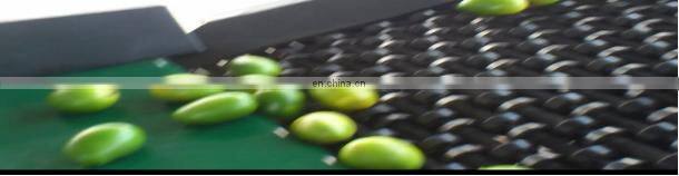 Fruit and vegetable Cleaning, Waxing, Drying and Grading Production Line