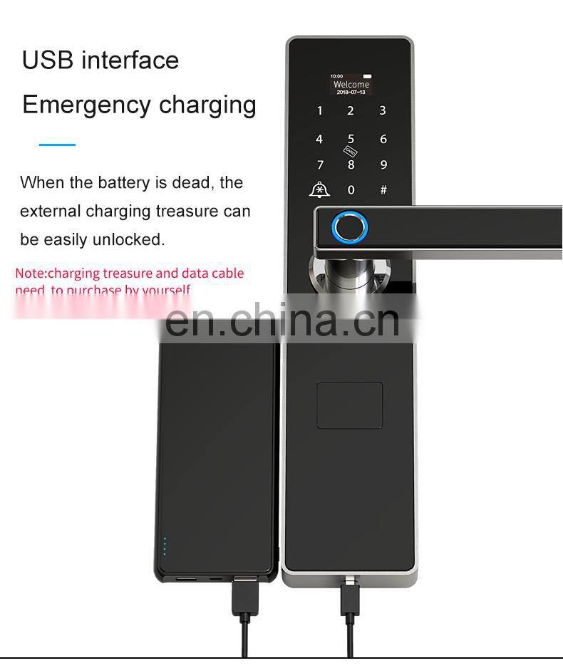 TUYA APP Smart Fingerprint Door Lock Electronic Biometric Password Hotels Smart Door Lock Manufacturer